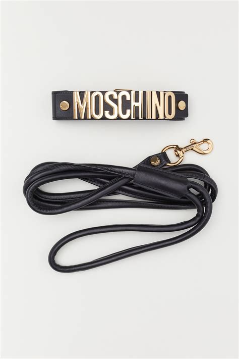 moschino dog collar